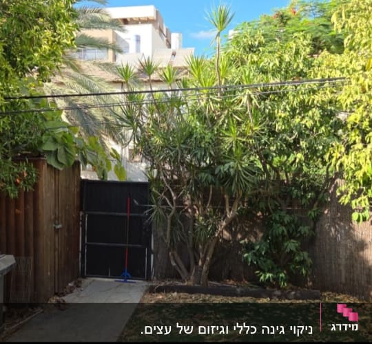 גינה עם עצים ושיחים, שביל וגדר עץ